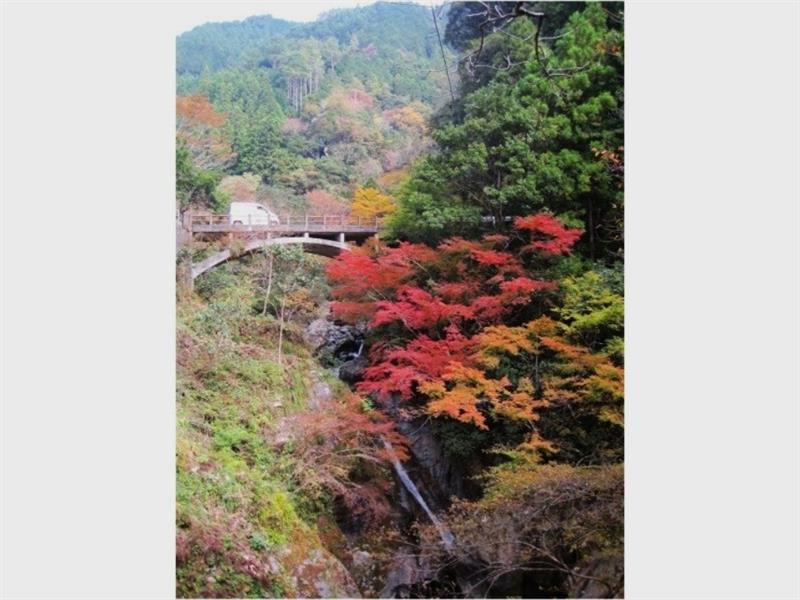 中津渓谷の紅葉 中津渓谷の紅葉