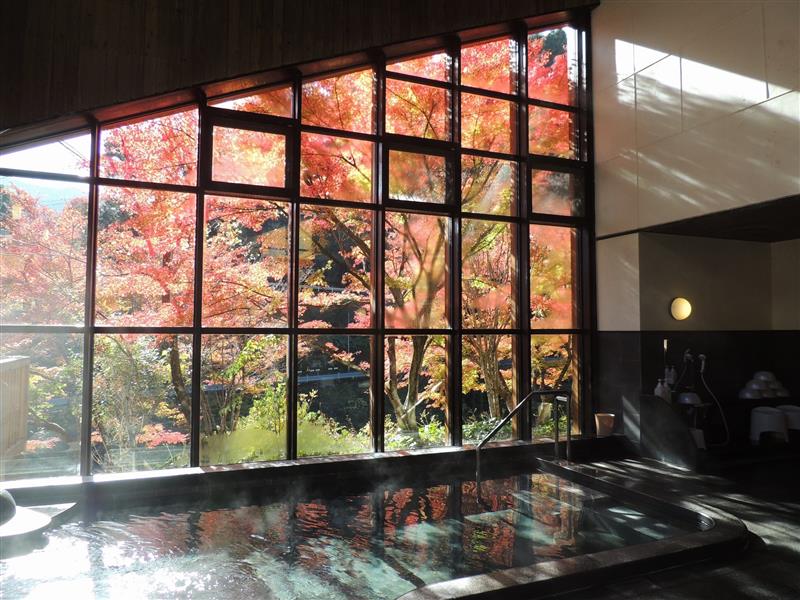 川沿い大浴場からの紅葉 川沿い大浴場からの紅葉