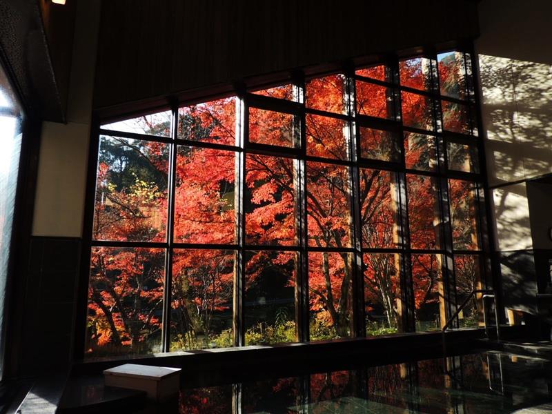 川沿い大浴場からの紅葉 川沿い大浴場からの紅葉