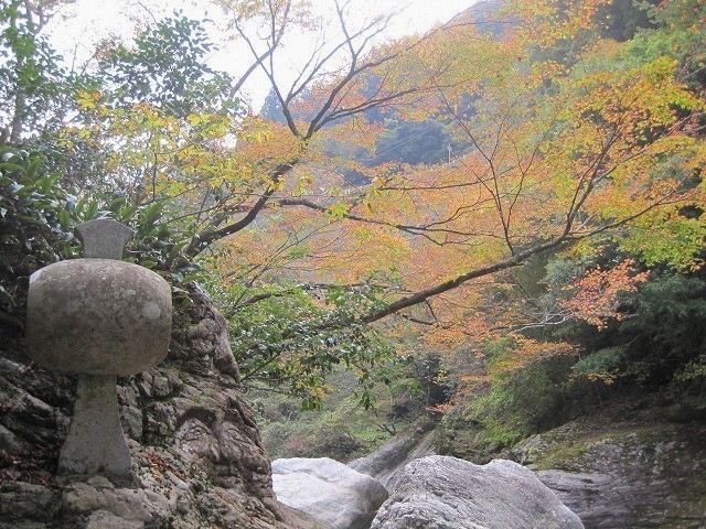 中津渓谷の紅葉。 中津渓谷の紅葉。