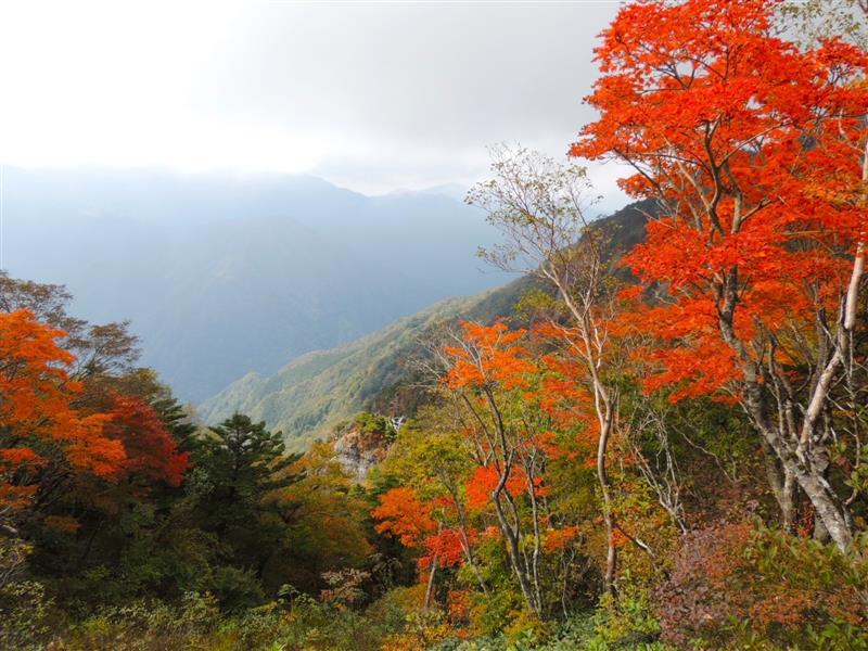 2023/10/17撮影 2023/10/17撮影