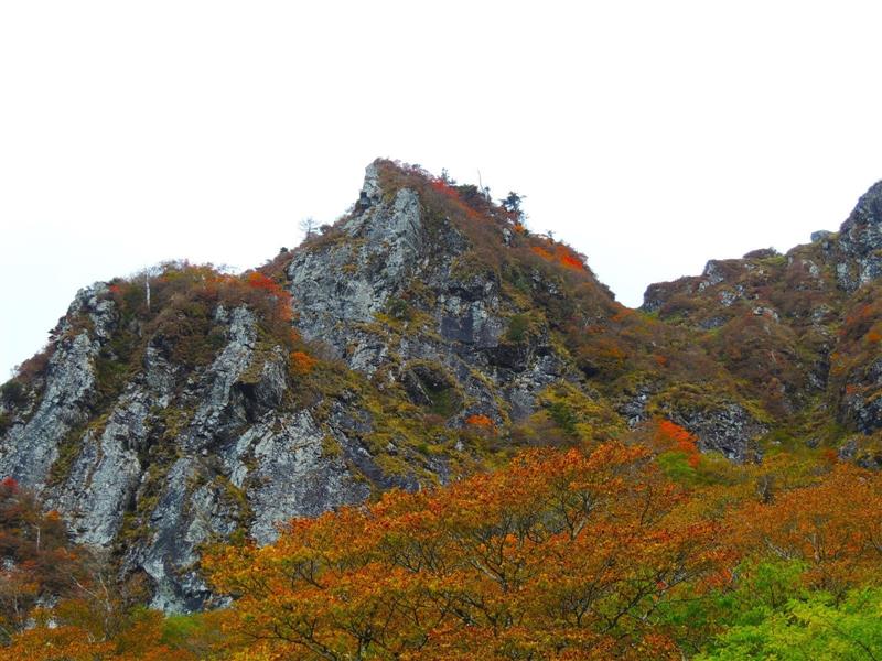 2023/10/17撮影 2023/10/17撮影