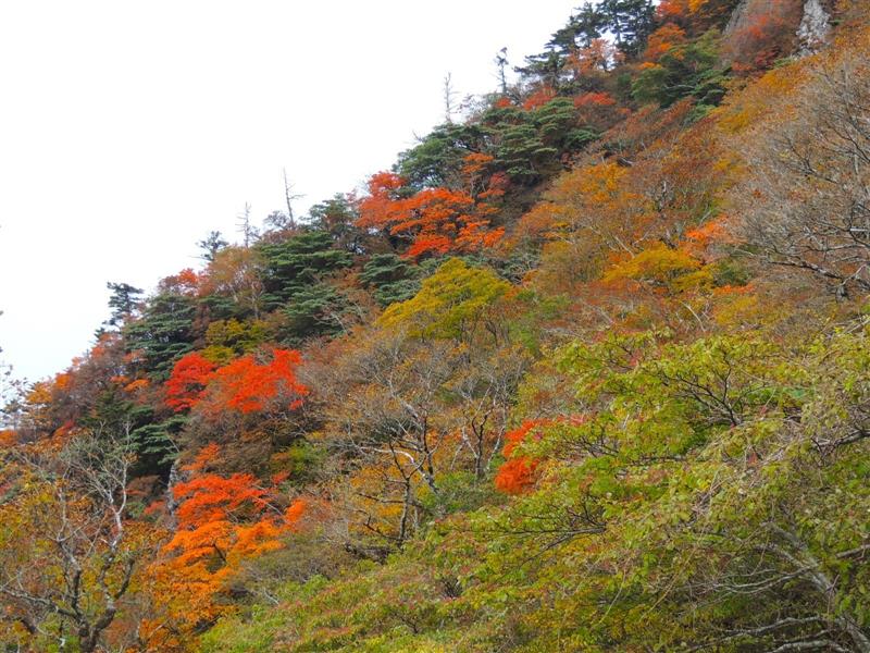 2023/10/17撮影 2023/10/17撮影