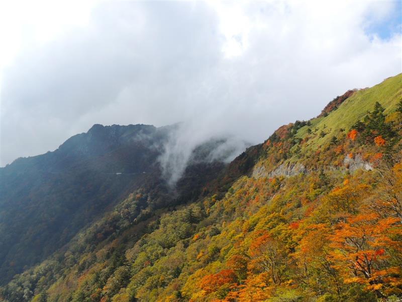 2023/10/17撮影 2023/10/17撮影