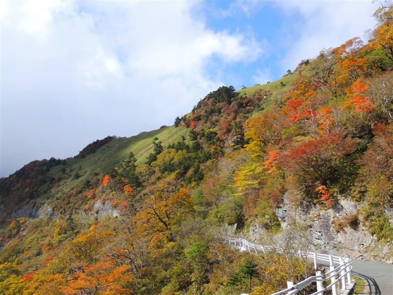 2023/10/17撮影 2023/10/17撮影