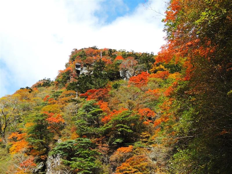 2023/10/17撮影 2023/10/17撮影